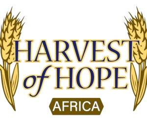 Screenshot_20220629-134104_1-removebg-preview-300x253